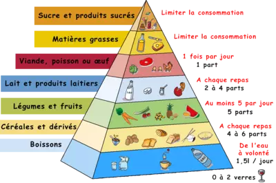 Pyramide_alimentaire_5
